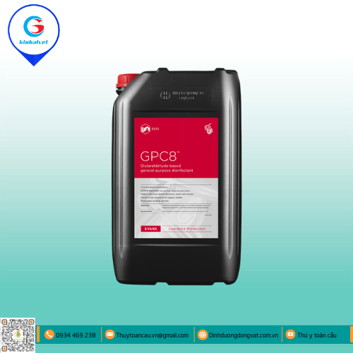 GPC8 SÁT TRÙNG MẠNH