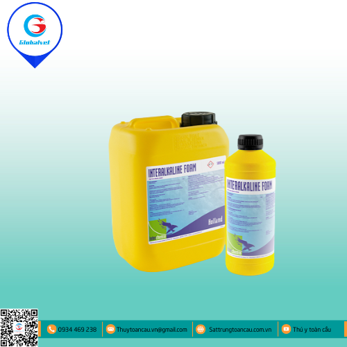 INTERALKALINE FOAM 