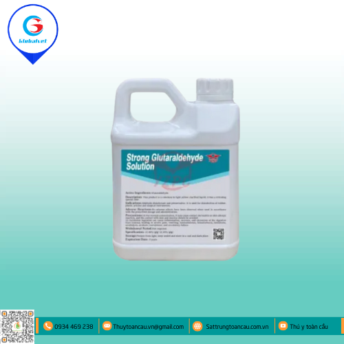 STRONG GLUTARALDEHYDE SOLUTION